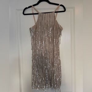 Xtraordinary Silver Sequin Dress